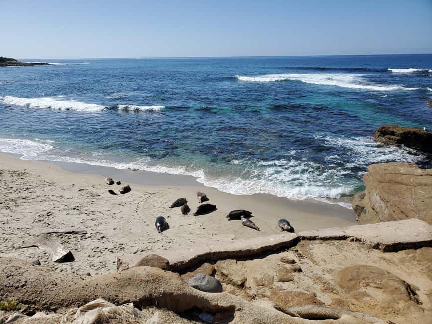 Los Angeles: private tour to San Diego - Coronado Island: a final stop before the return