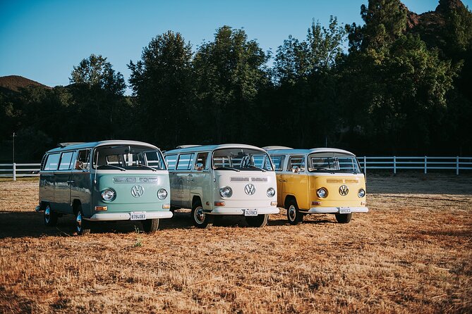 Los Angeles: Private Vintage VW Bus Tour in Malibu - Three hours can feel active, not rushed