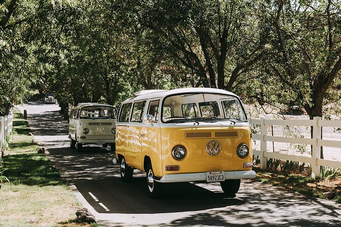 Los Angeles: Private Vintage VW Bus Tour in Malibu - Who will get the most from this tour