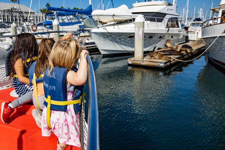 Los Angeles: Redondo Beach Glass Bottom Boat Cruise - Two views of Redondo Beach’s coastal wildlife