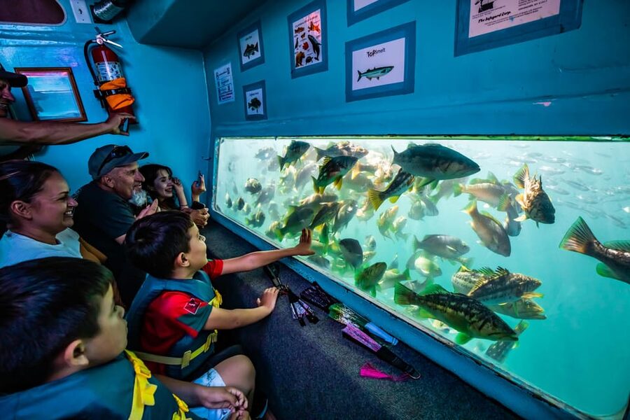 Los Angeles: Redondo Beach Glass Bottom Boat Cruise - Sea lions, fish, and the value of a short outing