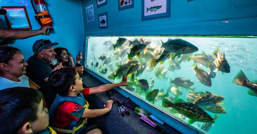 Los Angeles: Redondo Beach Glass Bottom Boat Cruise - A family-friendly ride, with a few practical limits