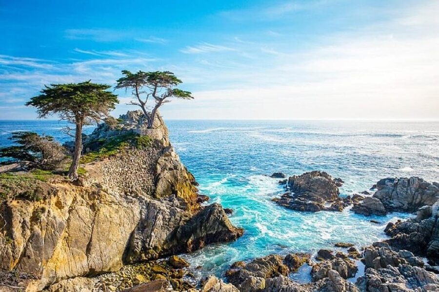 Los Angeles-San Francisco,Yosemite National Park 3-Day Tour - Who should book this California loop?