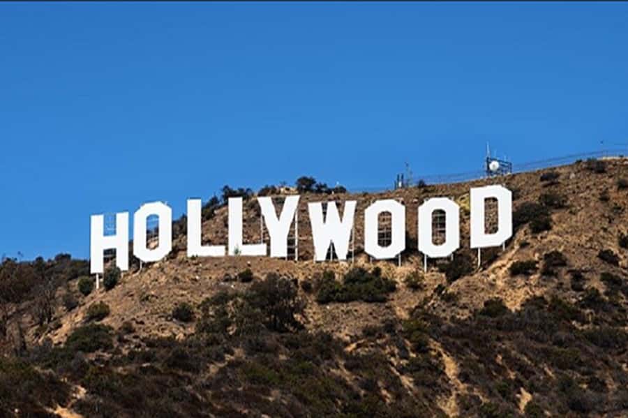 Los Angeles Sightseeing Tour: From Anaheim & Buena Park - Lunch at the Original Farmers Market and the Grove