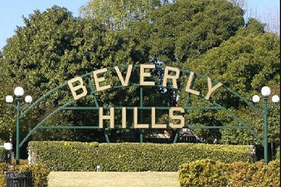 Los Angeles Sightseeing Tour: From Anaheim & Buena Park - Who should take this Los Angeles tour