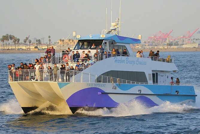 Los Angeles Whale and Dolphin Watching Cruise from West Harbor - Is $45 a fair price?