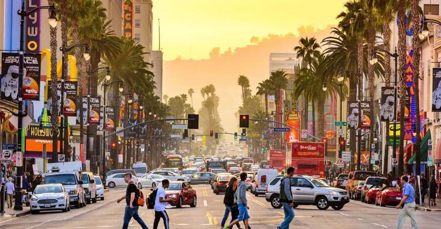 Los Angles: Private Customized Day Tour with Driver - Choosing between Hollywood, Beverly Hills, and Downtown