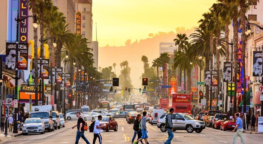 Los Angles: Private Customized Day Tour with Driver - Who will get the most from this tour