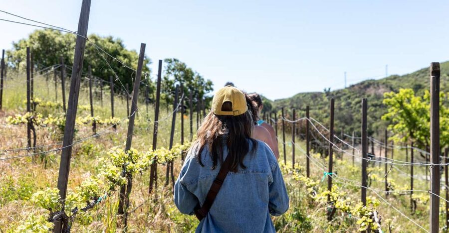 Malibu: Guided Vineyard Hike with Photo Stops and Wine - Starting at the ranch on Mulholland Highway