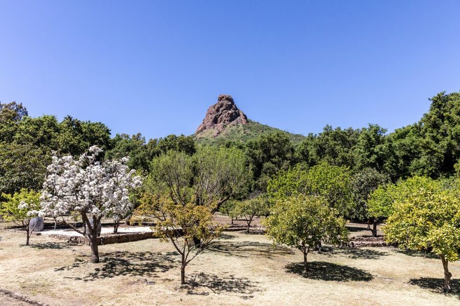 Malibu: Guided Vineyard Hike with Photo Stops and Wine - What $49 buys you