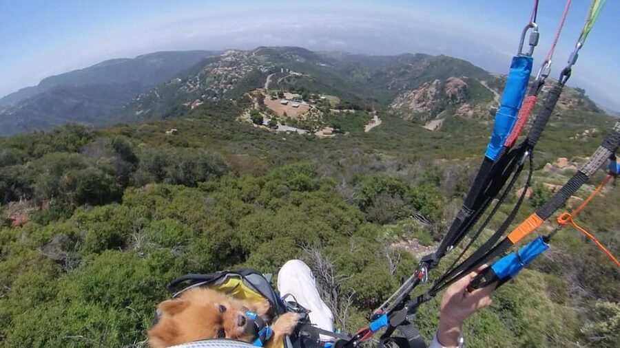 Malibu Hills to Beach: Tandem Paragliding Flight Adventure - Should you book the Malibu hills-to-beach flight?
