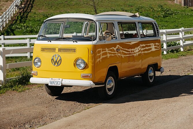Malibu: Vintage VW Bus and Vineyard Tour - A Malibu vineyard tour with a bit of bus personality