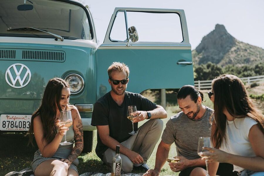 Malibu: Vintage VW Bus and Vineyard Tour - Who will enjoy this small-group outing?