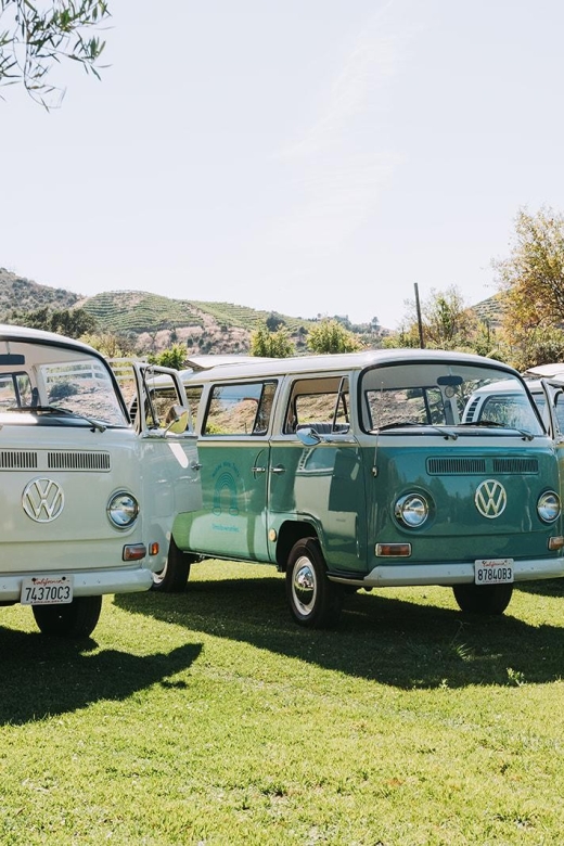Malibu: Vintage VW Bus and Vineyard Tour - Should you book the vintage VW bus tour?