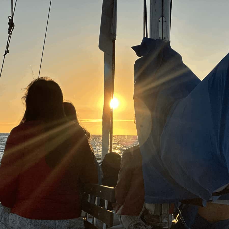 Marina del Rey: 1-Hour Boat Tour - The key points before you book