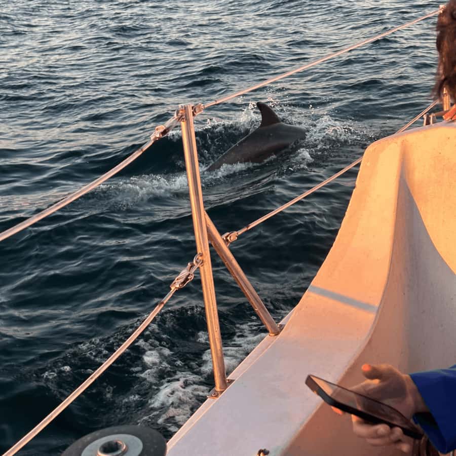 Marina del Rey: 1-Hour Boat Tour - Who will enjoy this Marina del Rey boat ride?