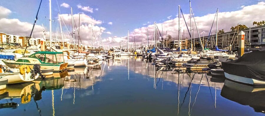 Marina Del Rey: A Romantic Boat Cruise with Sushi & Wine - Timing, Wildlife and the Evening Mood