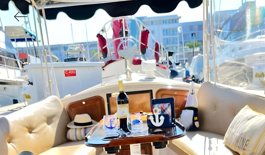 Marina Del Rey Luxury Boat Cruise Wine, Charcuterie Sealions - At a glance