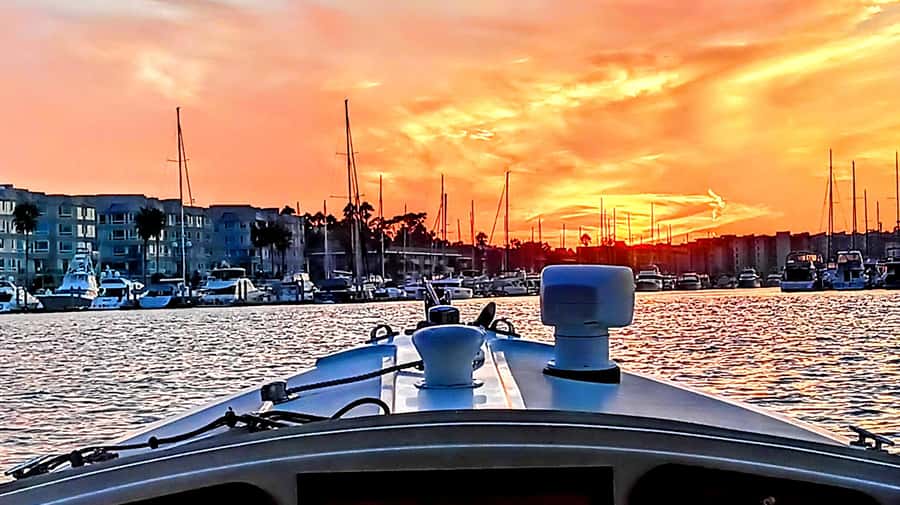 Marina Del Rey Luxury Boat Cruise Wine, Charcuterie Sealions - A Duffy cruise through Marina del Rey