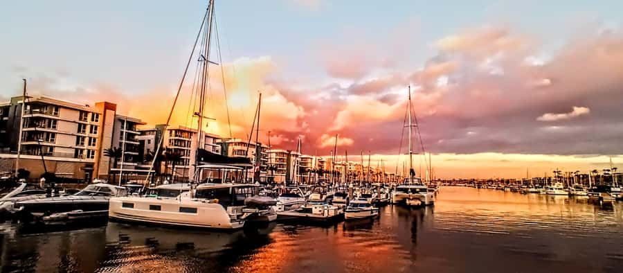 Marina Del Rey Luxury Boat Cruise Wine, Charcuterie Sealions - Wine, cheese, and what the food includes