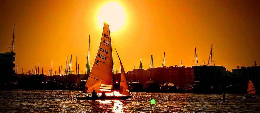 Marina Del Rey Luxury Boat Cruise Wine, Charcuterie Sealions - Who will enjoy this cruise most