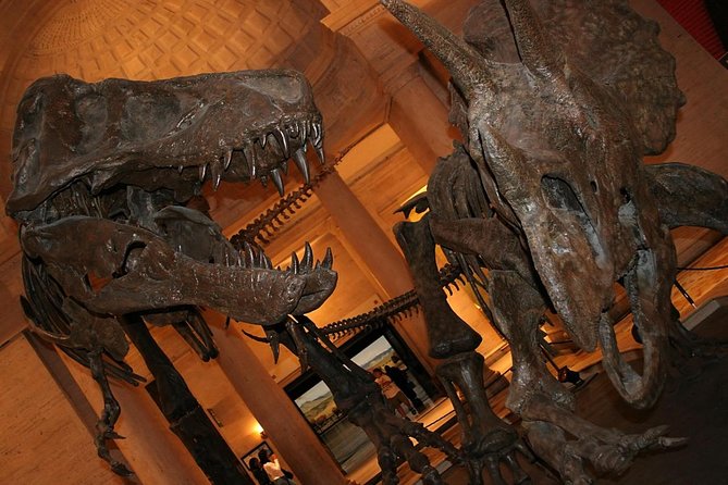 Natural History Museum of Los Angeles County Admission - What to know before you go