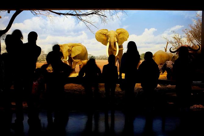 Natural History Museum of Los Angeles County Admission - Nature Gardens and the Nature Lab bring Los Angeles into the story