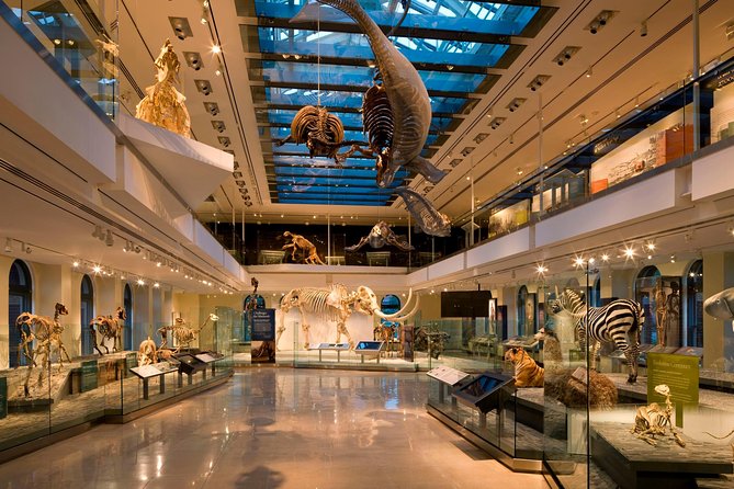 Natural History Museum of Los Angeles County Admission - Who will get the most from this museum