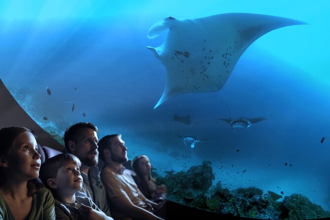 Ocean Wonders: An Immersive Ocean Movie Experience - What to know before you go