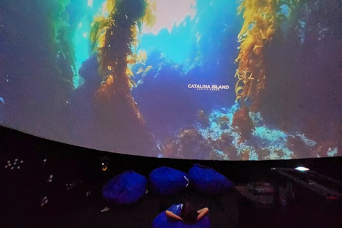 Ocean Wonders: An Immersive Ocean Movie Experience - What the marine scenes offer
