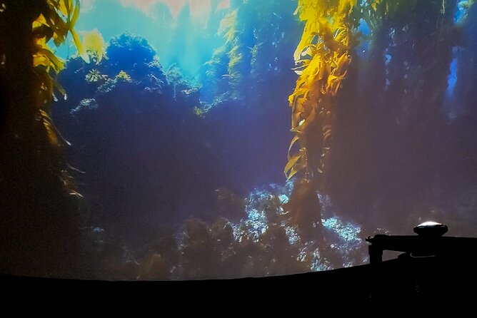 Ocean Wonders: An Immersive Ocean Movie Experience - Seating, temperature, and the short break