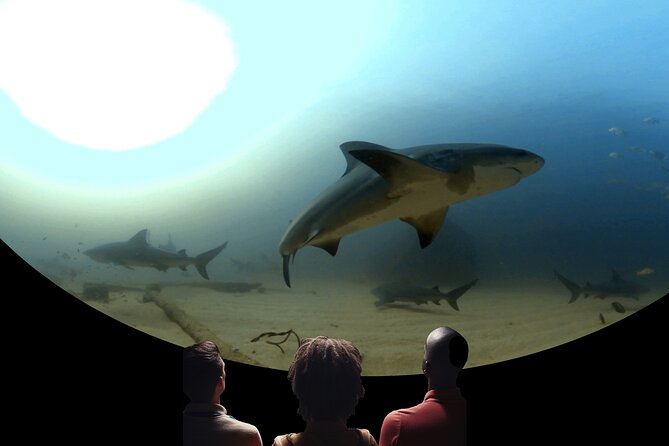 Ocean Wonders: An Immersive Ocean Movie Experience - Inside the dome: 30 minutes beneath the surface