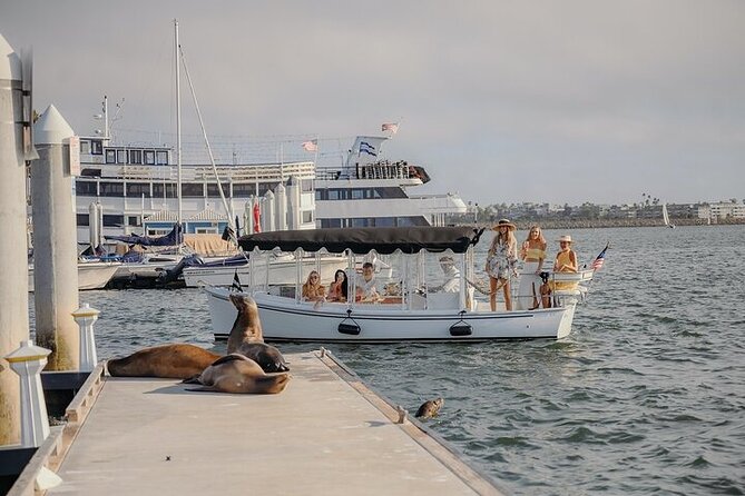 Private E-Boat Cruise: Wine, Charcuterie and Sea Lion Spotting - A private boat, not a harbor ferry
