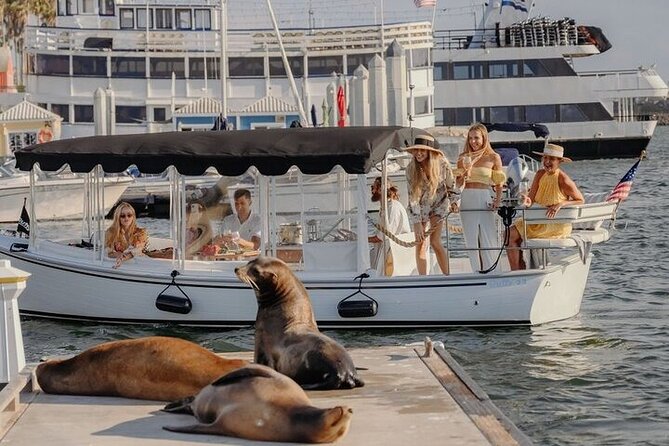 Private E-Boat Cruise: Wine, Charcuterie and Sea Lion Spotting - Sea lions are the wild-card highlight