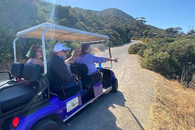 Private Guided Golf Cart Tour of Avalon - Local history, without a long museum visit
