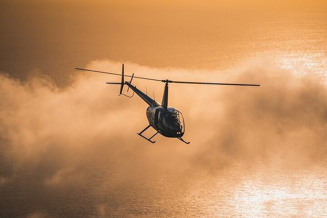 Private Helicopter Tour over Long Beach: See Catalina, Queen Mary - A private flight for two or three