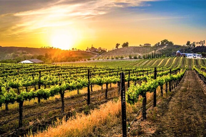 Private Temecula Excursion from Anaheim, Irvine, Newport Beach - A private ride from Orange County to Temecula