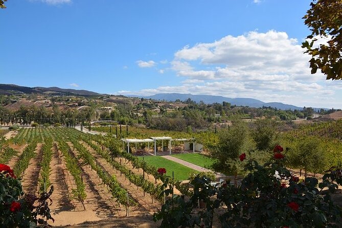 Private Temecula Excursion from Anaheim, Irvine, Newport Beach - FAQ