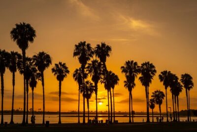 Private Trip Los Angeles, Beverly Hills, Hollywood From Anaheim