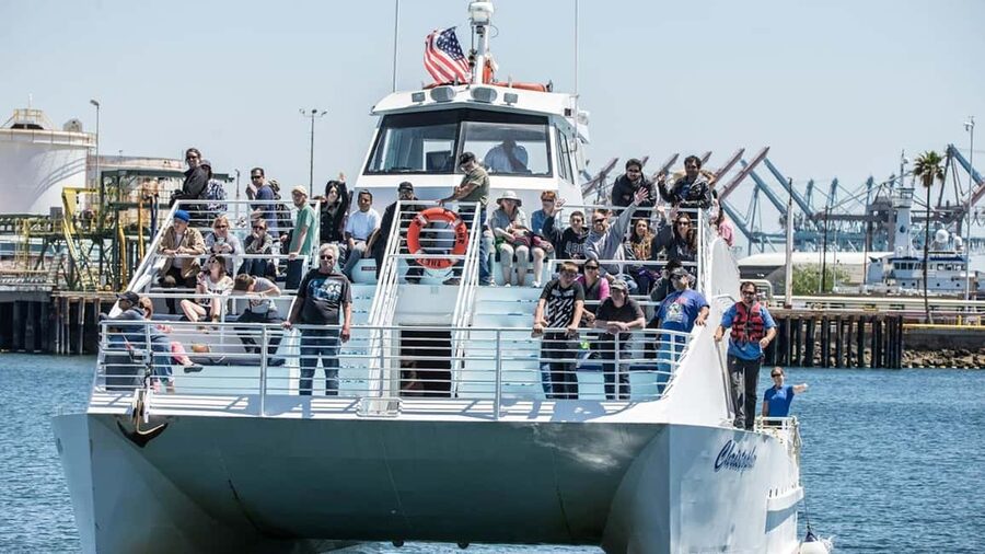 San Pedro: West Harbor LA Dolphin & Whale Watching Cruise - Should you book this San Pedro cruise?