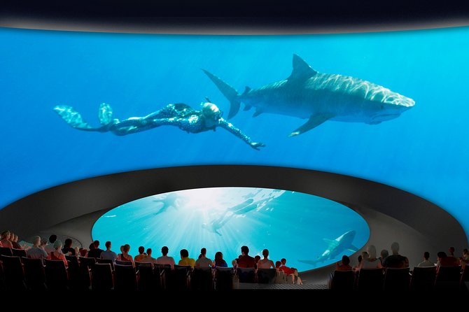Skip the Ticketing Line: Aquarium of the Pacific General Admission Ticket - Who will enjoy this aquarium most?