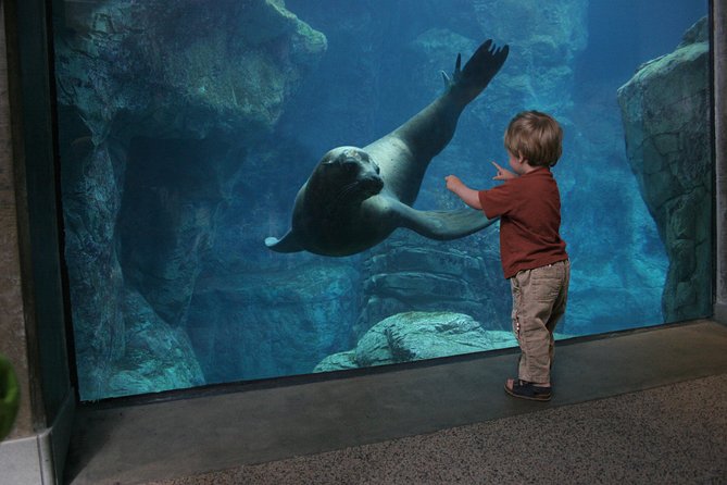 Skip the Ticketing Line: Aquarium of the Pacific General Admission Ticket - Should you book the Aquarium of the Pacific?