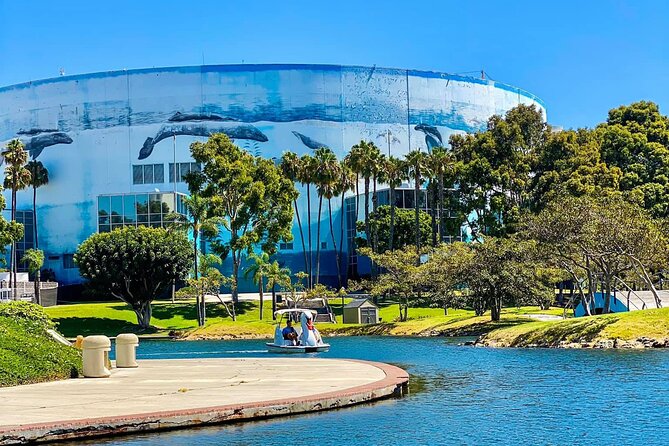 Swan Boat Rental at Rainbow Lagoon in Long Beach - Daylight, sunset, or LED lights