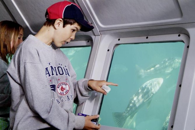 Undersea Expedition: Catalina Island Tour - From Green Pleasure Pier to the fish and kelp