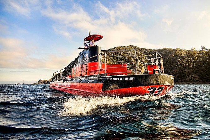 Undersea Expedition: Catalina Island Tour - What the $53.45 fare buys you
