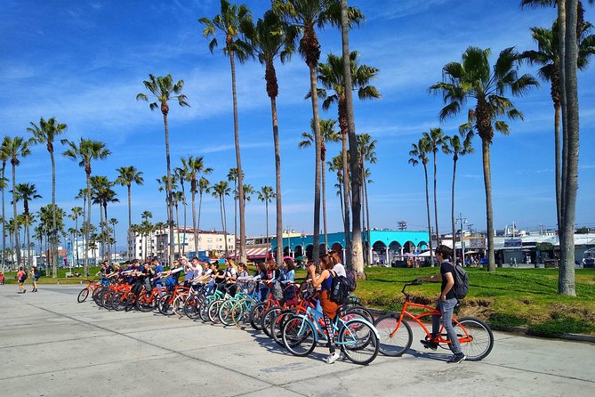 Venice Vibrations Public Bike Tour Experience - Art walls and the Venice Skatepark