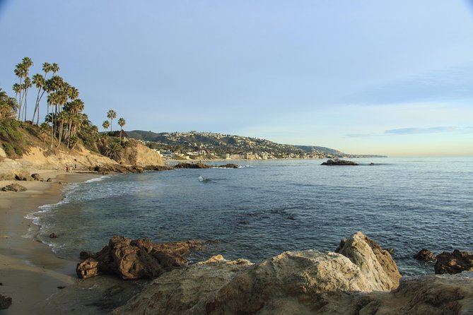 Whale-Watching and Orange County Beaches Tour from Anaheim - What the guides bring to the day