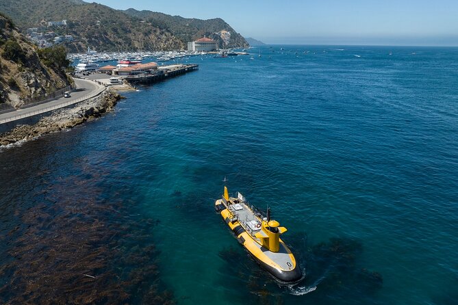 Yellow Semi-Submarine Tour of Catalina Island From Avalon - Key points before you go