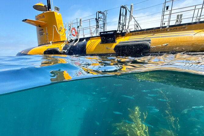 Yellow Semi-Submarine Tour of Catalina Island From Avalon - What the SS Nautilus actually offers