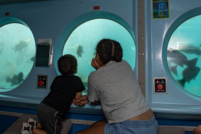 Yellow Semi-Submarine Tour of Catalina Island From Avalon - Crew, narration, and the ride’s mood